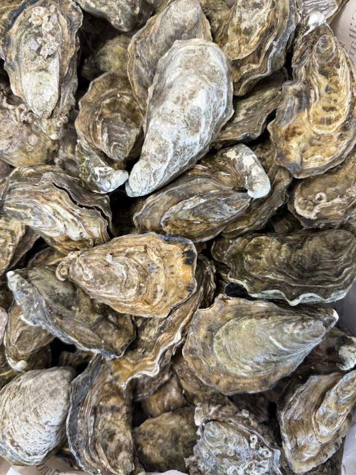 Profitez d'une pause iodée dans notre bar à huîtres convivial.