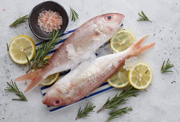 Comment conserver le poisson frais chez soi ? Port-Vendres