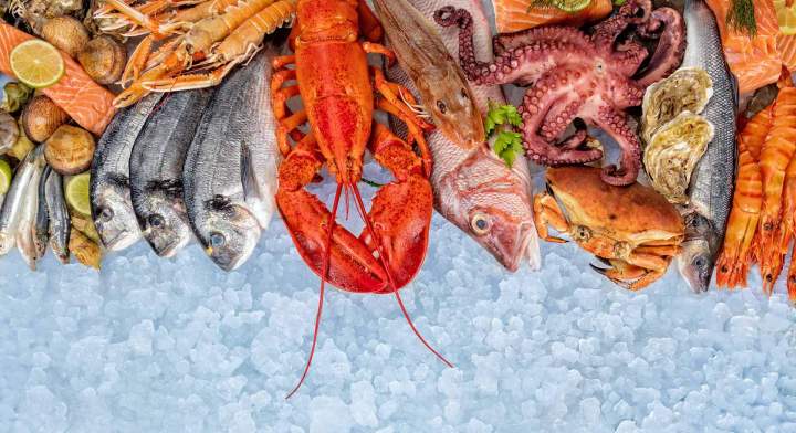 Restaurant fruits de mers Port-Vendres